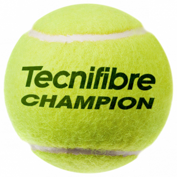 Tarro Tecnifibre Champion X3 - Imagen 2